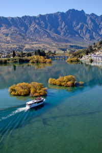 Sail past willow islands on Million Dollar's Queenstown Lake Cruise.
